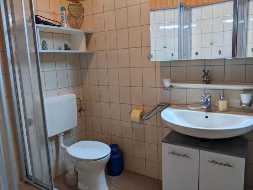 GroßwürdenにあるEul F5 with winter gardenのトイレと洗面台のあるバスルーム