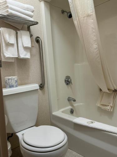 Koupelna v ubytování Quality Inn Spearfish I-90