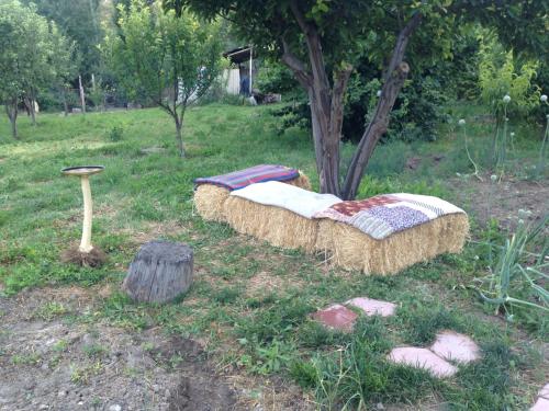 Κήπος έξω από το Ashot & Gohar B&B