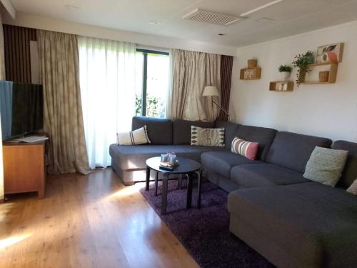 a living room with a couch and a table at Voorthuizen chalet nabij de bossen in Batoʼs Erf