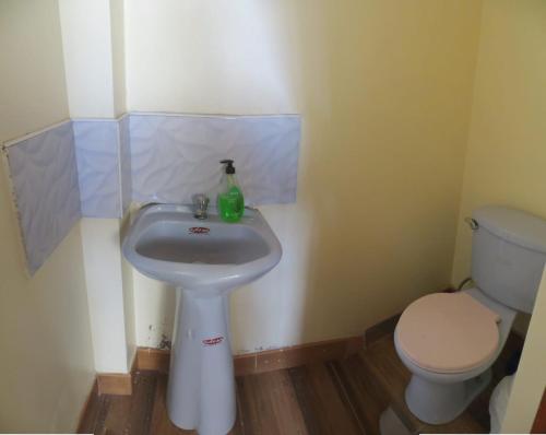 ワラスにあるLa casita de Asuncionの白い洗面台とトイレのあるバスルーム