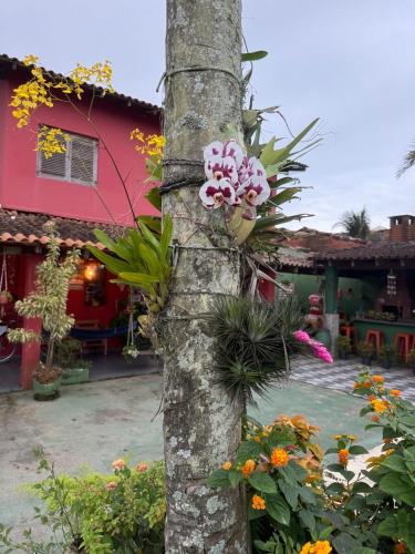 a tree with flowers on the side of it at Hostel Casa Jambo Guaruja in Guarujá