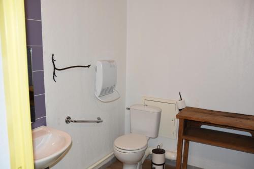 a small bathroom with a toilet and a sink at Résidence Les Adrets de Peyragudes in Germ