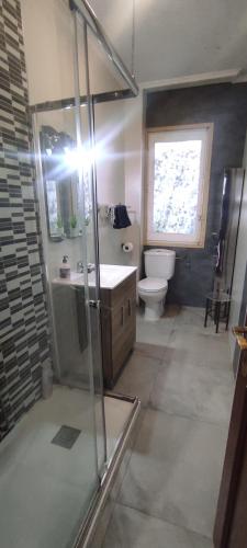 a bathroom with a shower and a sink and a toilet at Modesto piso turístico in Briviesca