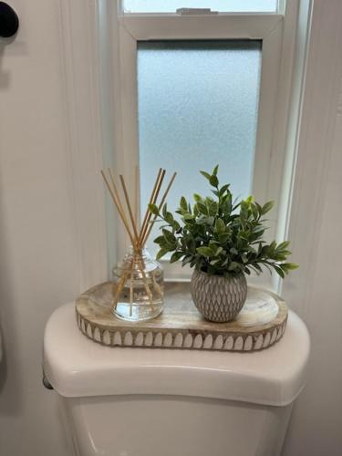 a window sill with a plant on top of a toilet at Red Desert - Wyoming in Rock Springs