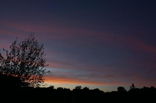 a sunset with a tree in the foreground at Manor Park View in Norwich