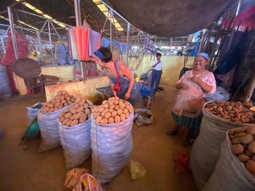 Επισκέπτες που μένουν στο My Green House