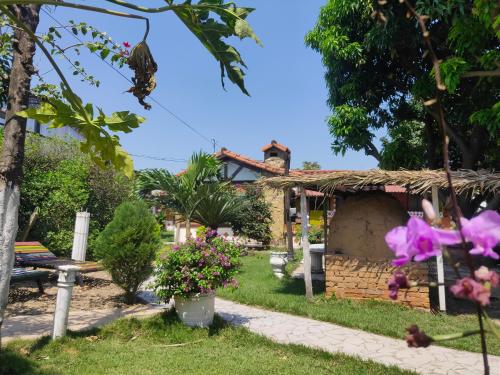 Κήπος έξω από το My Green House