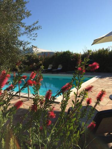 a swimming pool with red flowers in front of it at Agriturismo - B&B L'Acquacotta in Castiglione della Pescaia