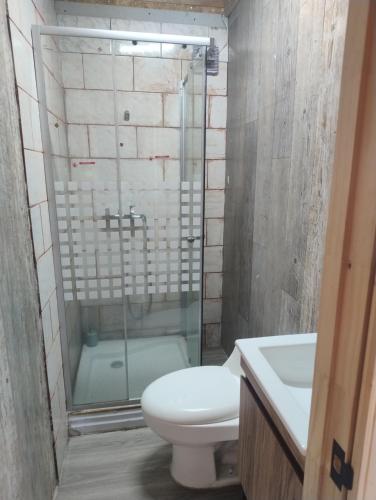 a bathroom with a toilet and a shower and a sink at Departamento un Ambiente in Frutillar
