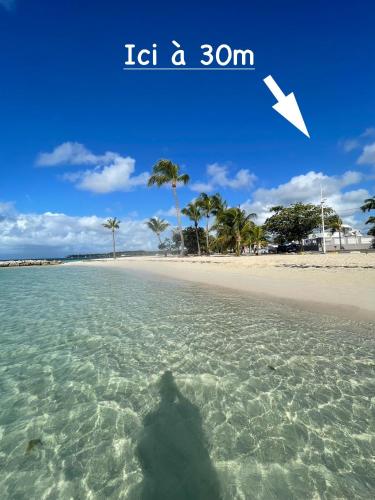a shadow of a person in the water on a beach at Plage St-Anne T2 duplex sans vue in Sainte-Anne