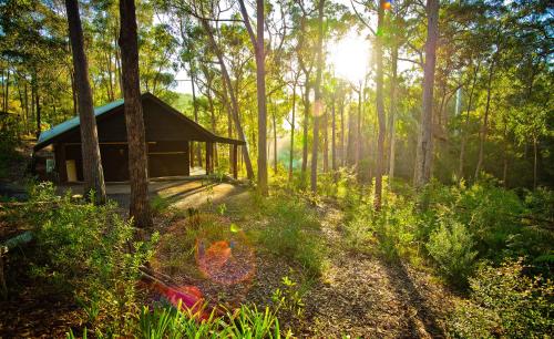 a gazebo in the middle of a forest at Kianinny Bush Cottages in Tathra