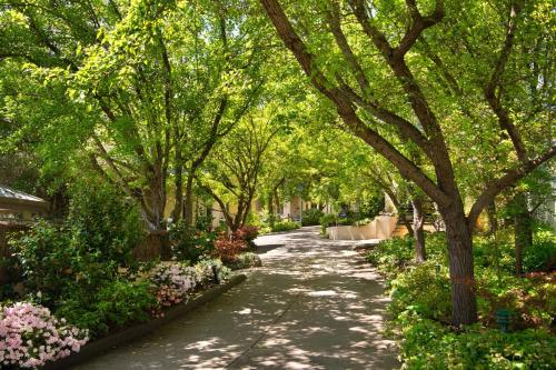 a tree lined walk way with flowers and trees at Villa Sorelle in the heart of Daylesford in Daylesford