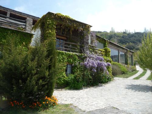 um edifício coberto de hera verde com flores roxas em Cortijo Catifalarga Alpujarra em Capileira