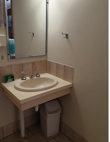 a bathroom with a sink and a mirror and a toilet at The Finley Palm Motor Inn in Finley