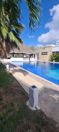 a swimming pool with a building and a palm tree at Kaan Town Houses Cancún in Cancún