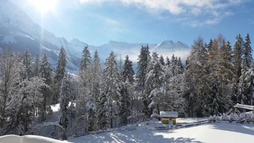 Gallery image of Hotel Crea in Adelboden