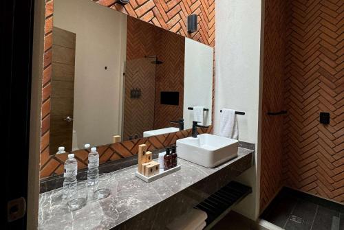 a bathroom with a sink and a mirror at Esplendor by Wyndham San Luis Potosi in San Luis Potosí