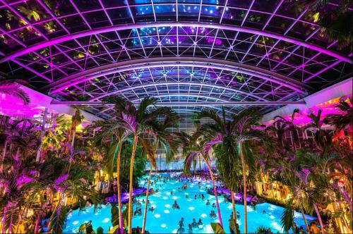 a large indoor pool with palm trees in a building at Parliament & River View Apartments in Bucharest