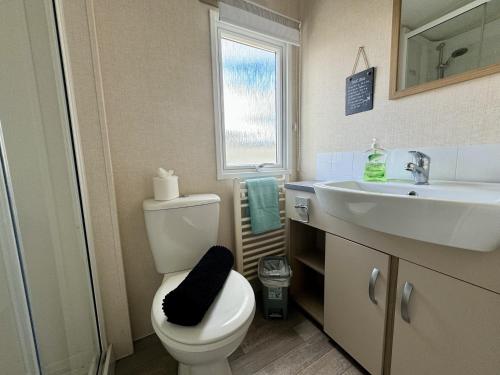 Bilik mandi di New Sea View Platinum Caravan with Huge Decking