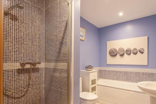 a bathroom with a shower and a toilet and a sink at 10 Ballaghmore Cottages in Portballintrae
