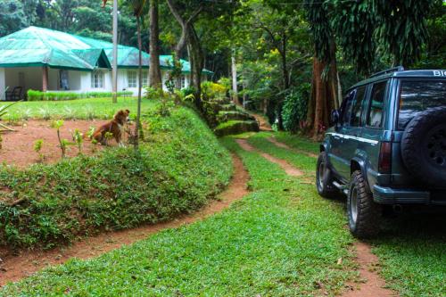 a blue suv parked next to a dirt road at HEYCOCK CEYLON HlLL in Gampola
