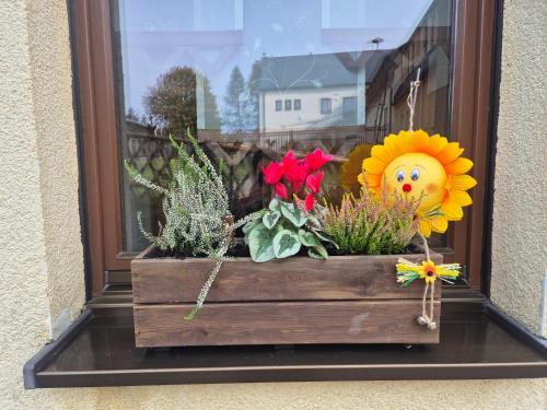 a window with a wooden box with flowers and plants at Ferienwohnung am Hammerberg in Schönheide