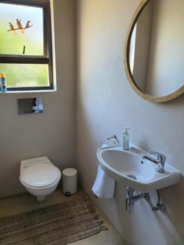 a bathroom with a sink and a toilet and a mirror at The Bird House in Kampersrus AH