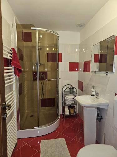a bathroom with a shower and a sink at Casa Stely in Râşnov