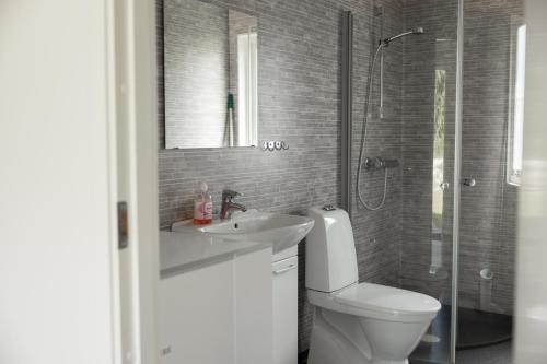 a bathroom with a toilet and a sink and a shower at Halens Camping och Stugby in Olofström