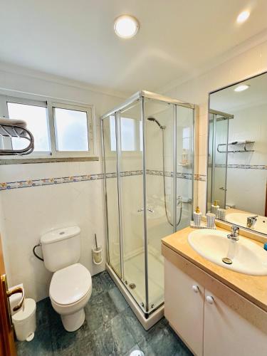 a bathroom with a shower and a toilet and a sink at Quinta do Ribeiro Salgado's Beach House in Porto Santo
