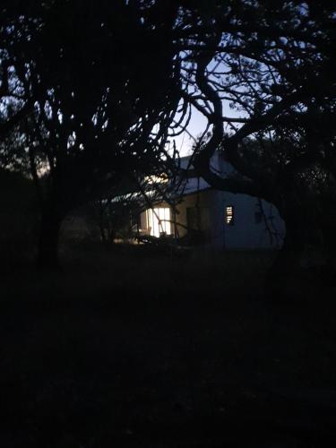 a house in the dark with a tree in the foreground at The Bird House in Kampersrus AH