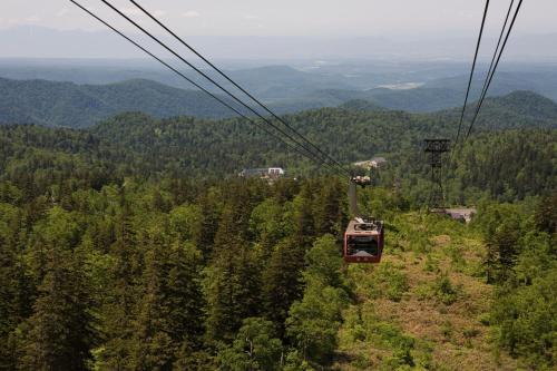 a gondola flying over a forest of trees at La Vista Daisetsuzan in Higashikawa