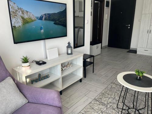a living room with a tv on a wall at Apartman 3N in Veliko Gradište