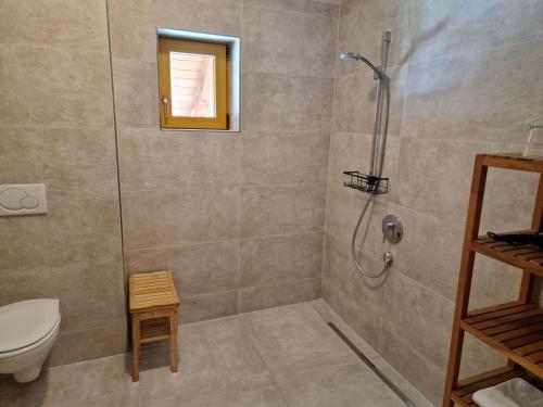 a bathroom with a shower and a toilet at Haus Renate in Kaunertal