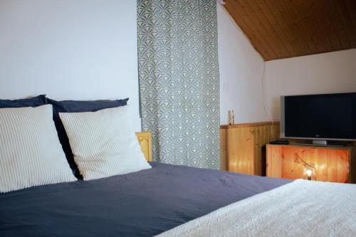 a bedroom with a bed and a flat screen tv at Le poulailler de Montgilbert in Aiguebelle
