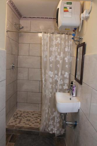 a bathroom with a shower curtain and a sink at 55 New Street, Makhanda in Grahamstown