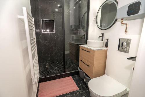 une salle de bain avec une douche, des toilettes et un lavabo dans l'établissement Magnifique appartement 2 pièces en hyper centre, à Strasbourg