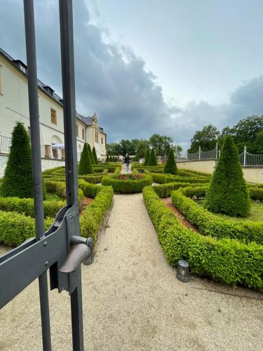 a view of a garden with bushes and trees at Kovarik Apartments I in Olomouc