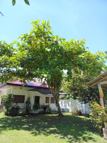 Κήπος έξω από το MG Villa