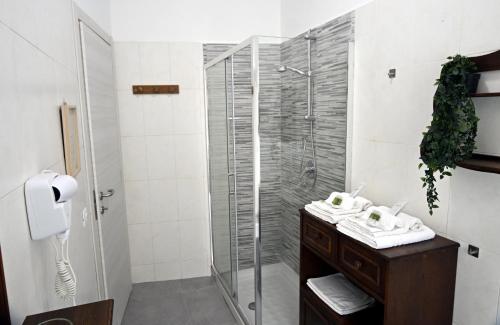 a bathroom with a shower and a sink at Appia Antica Guest House in Rome