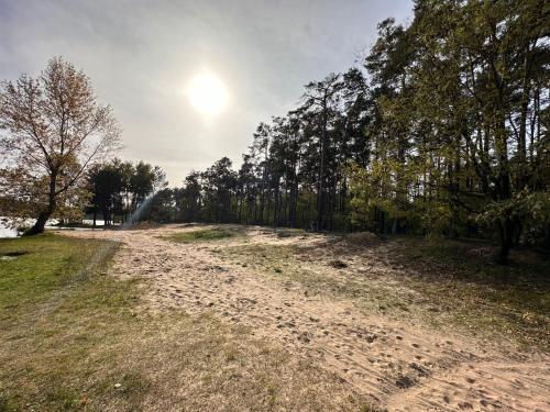 a dirt road with trees and the sun in the sky at SergJuli Villa in Plavecký Štvrtok