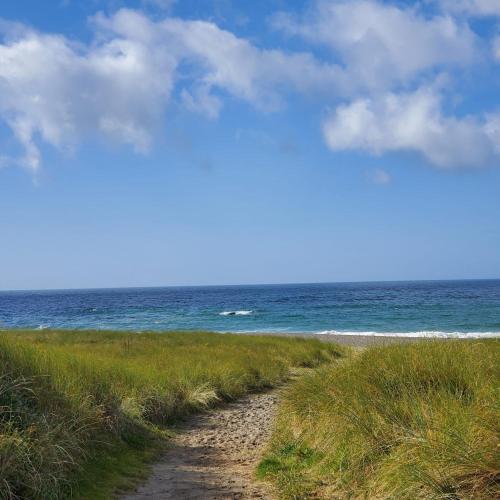 a path to the beach with the ocean in the background at The Little Island Boutique Motel in Clonakilty
