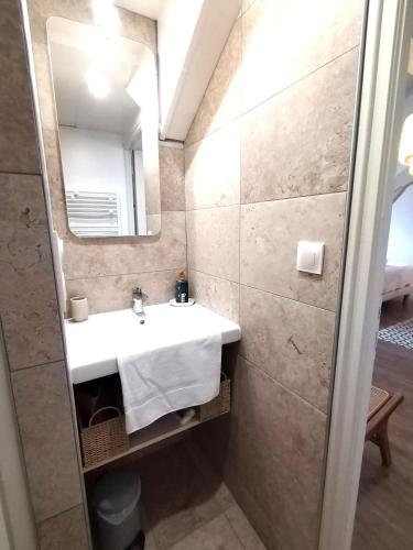 une salle de bain avec un lavabo et un miroir dans l'établissement Le Nid Citadin - Ultra Calme - Terrasse avec Vue, à Pau