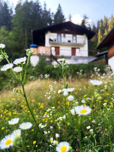 Galeriebild der Unterkunft Haus Gratz in Bach