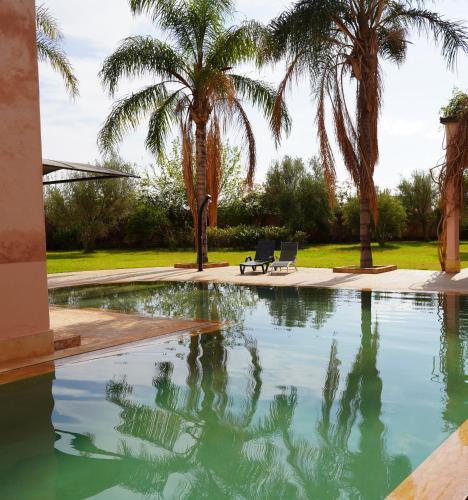 a swimming pool with palm trees in a yard at Villa Nourr in Marrakech