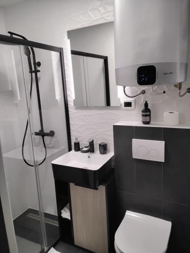 Koupelna v ubytování Niko