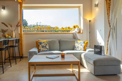 Ruang duduk di Petra Serenity Villas