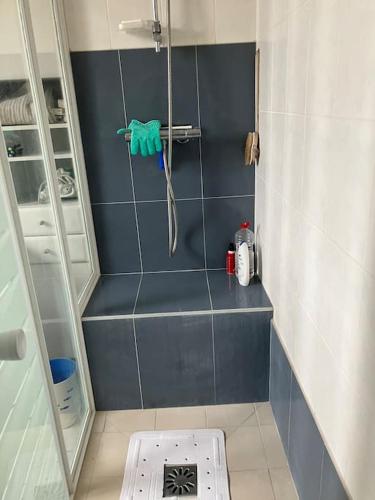 La petite salle de bains est pourvue d'une douche avec du carrelage bleu. dans l'établissement Grand Appartment 