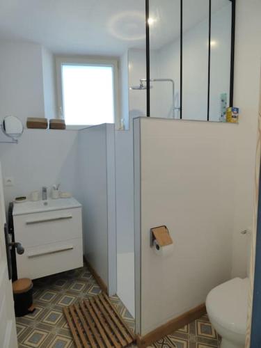 une salle de bain avec toilettes et lavabo dans l'établissement Maison de vacances ideale - La Mariniere du Mesnil, à Le Mesnil